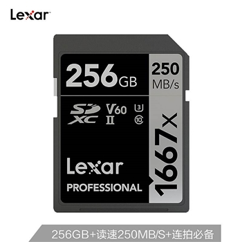雷克沙 1677XSD卡256G/讀250MB/S (單位：個)